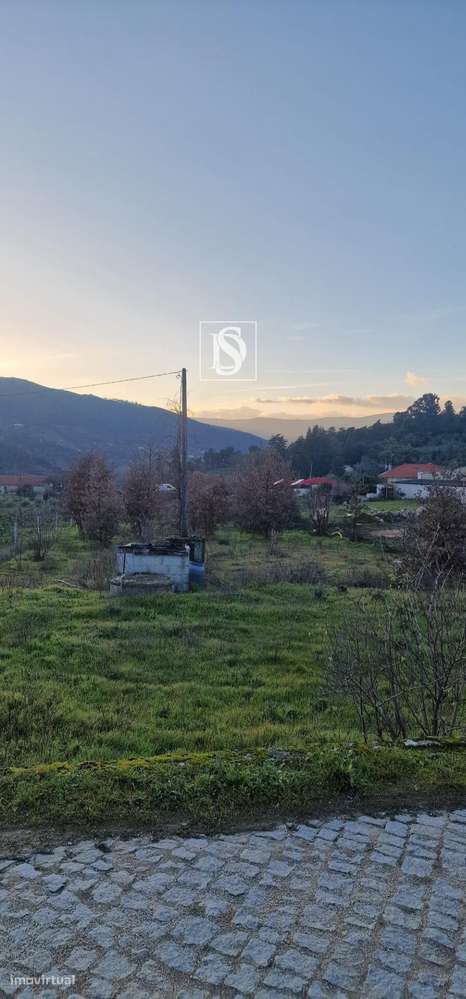 Terreno em Rossas-Lamego - Grande imagem: 2/8