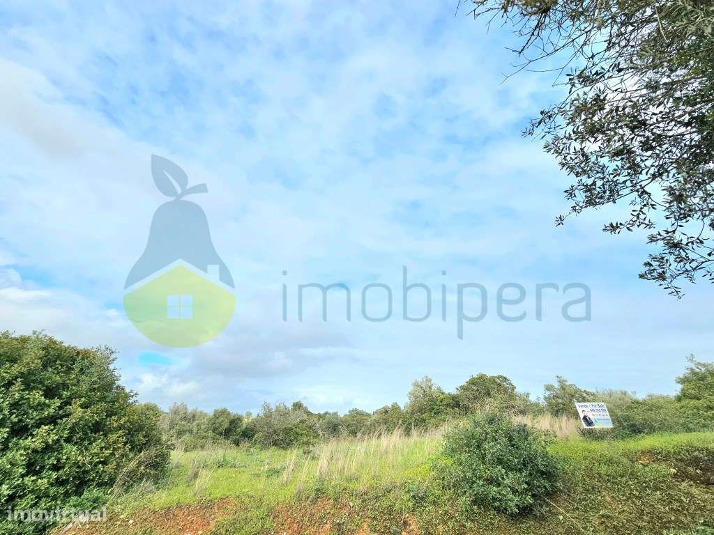 Lote de terreno com 34744m2 onde existe uma construção com 26m2 em ... - Grande imagem: 4/24