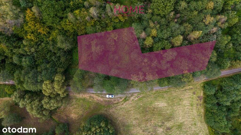 Działka budowlana w lesie - Domaradz - Pełny obrazek: 2/11