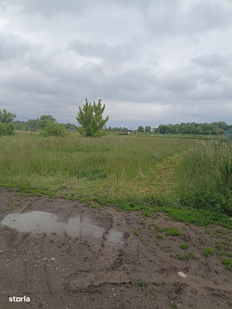 De vânzare teren intravilan construibil în Sfântu Gheorghe-8