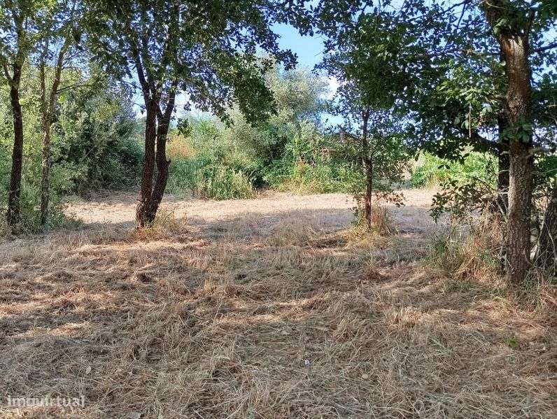 Terreno com abrigo de madeira - Grande imagem: 3/11