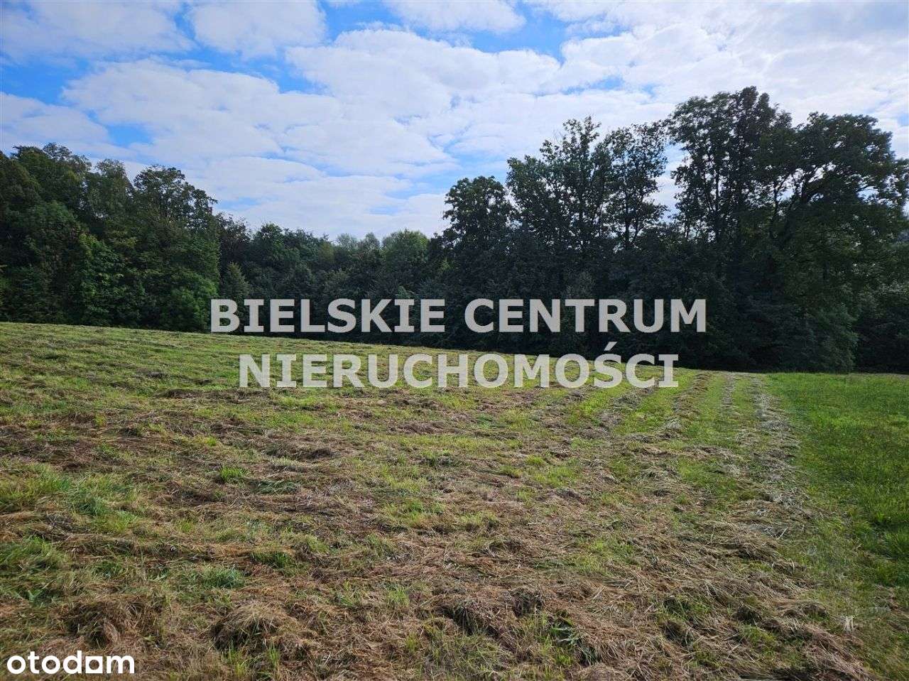 Działka, 13 942 m², Mazańcowice-1