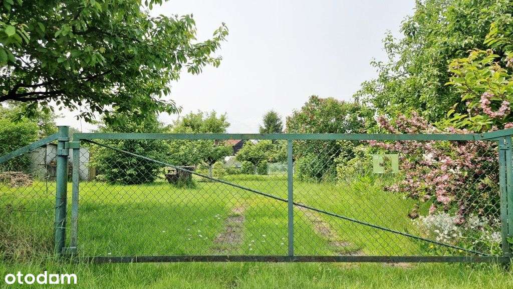 Dwie działki Rod Olszynka - Pełny obrazek: 3/16