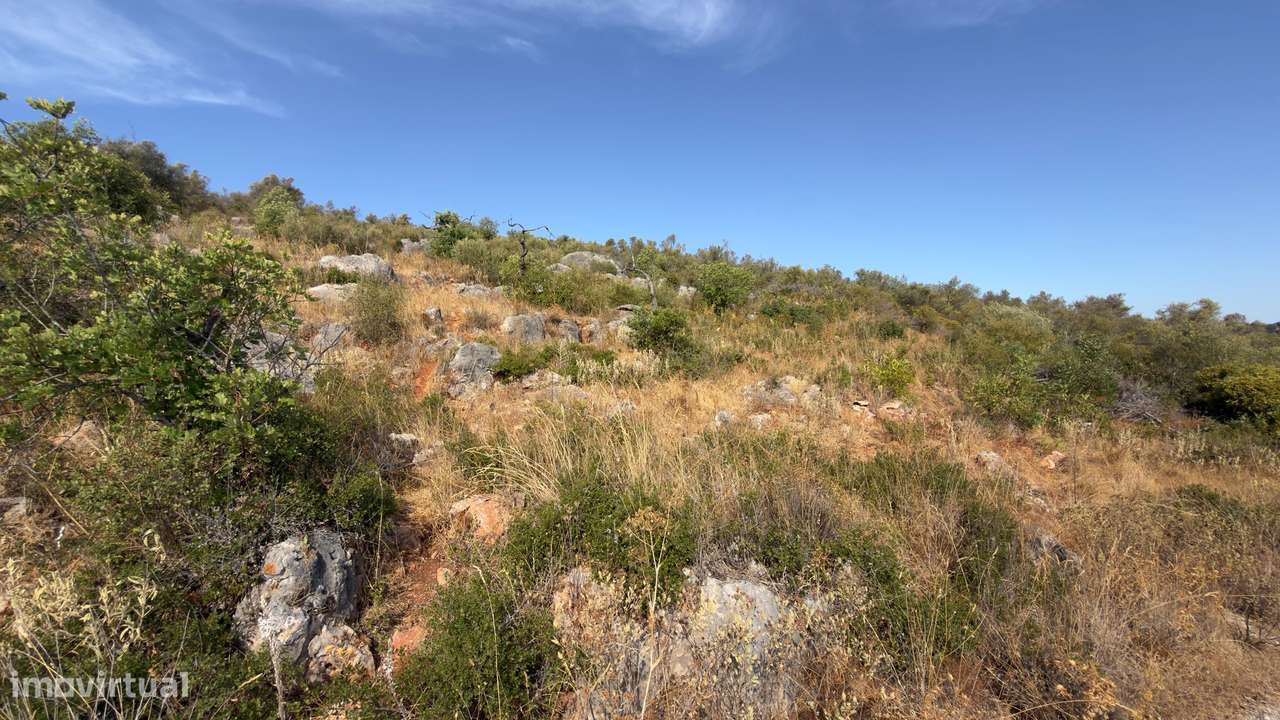 Terreno Rústico com 9920m2 na Goldra de Cima, Algarve-3