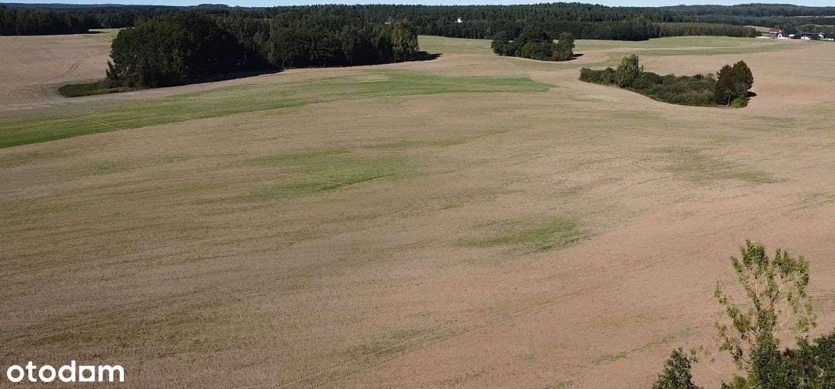 Działka w Kleszczewie z gotowym projektem! Kaszuby-8