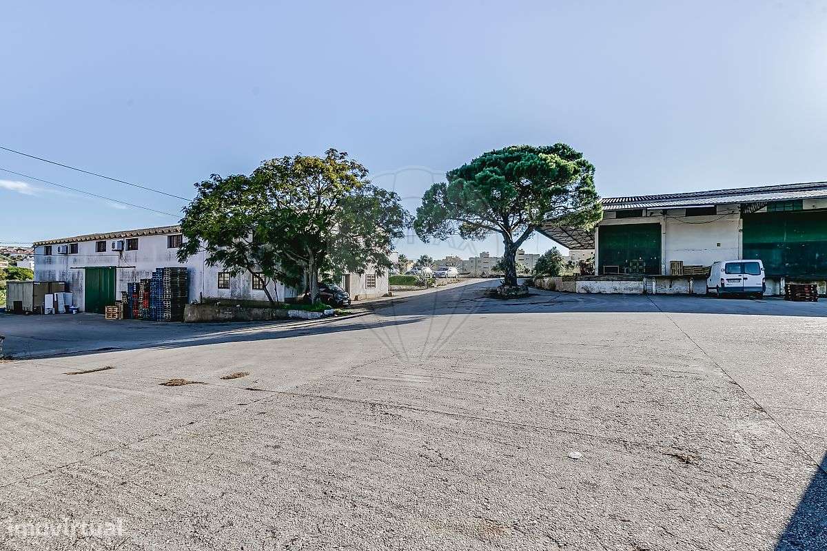 Quinta  para venda - Grande imagem: 5/32