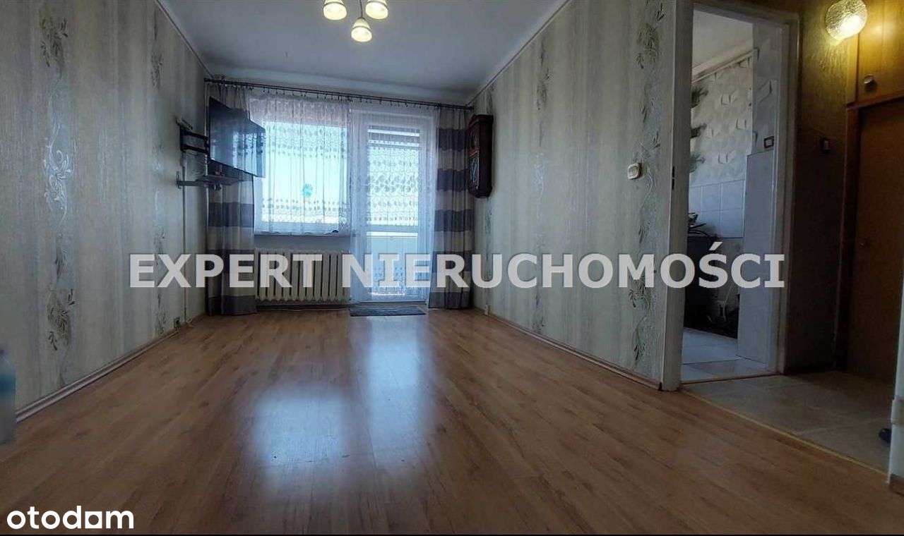 3 Pokoje Z Dużym Balkonem W Doskonałej Lokalizacji-2