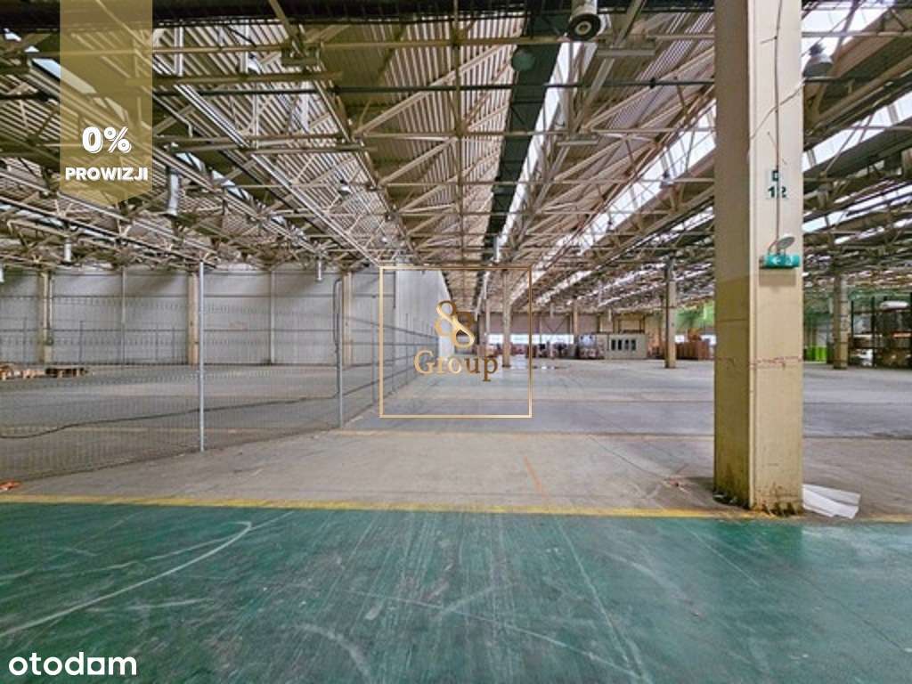Do wynajęcia magazyn 500m2 Warszawa Praga-Północ - Pełny obrazek: 4/7