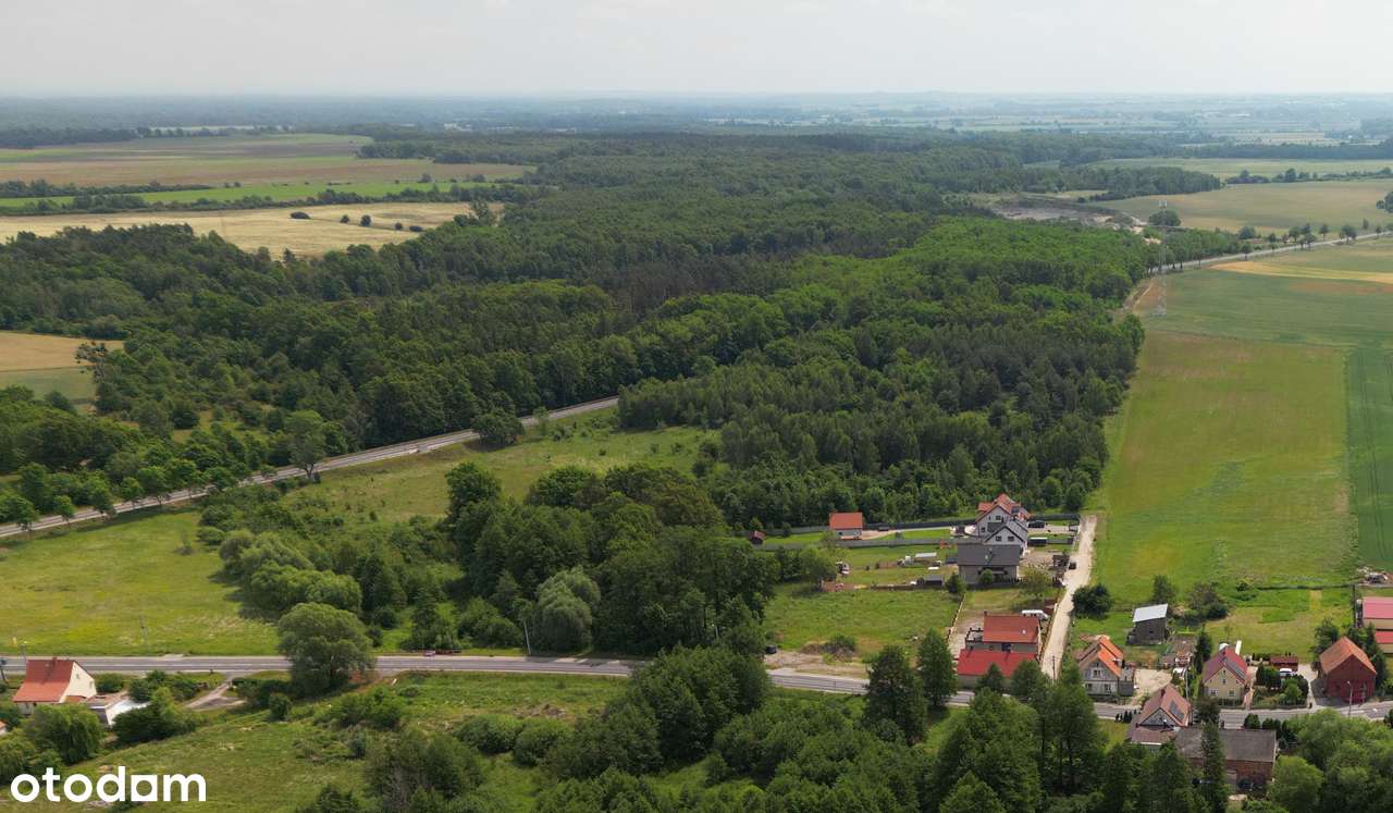 Działki budowlane na osiedlu - Wilczków - Pełny obrazek: 3/4