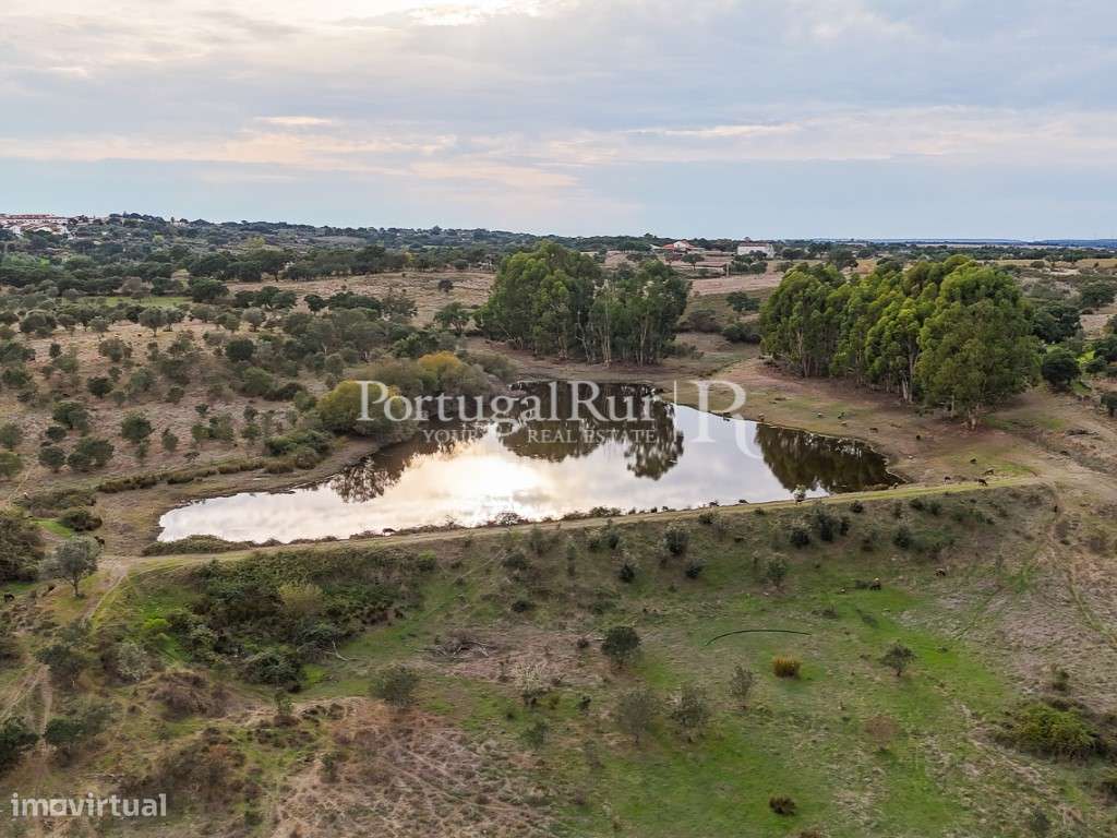 Herdade com 40 hectares e Moradia T5 em Portalegre - Grande imagem: 4/60
