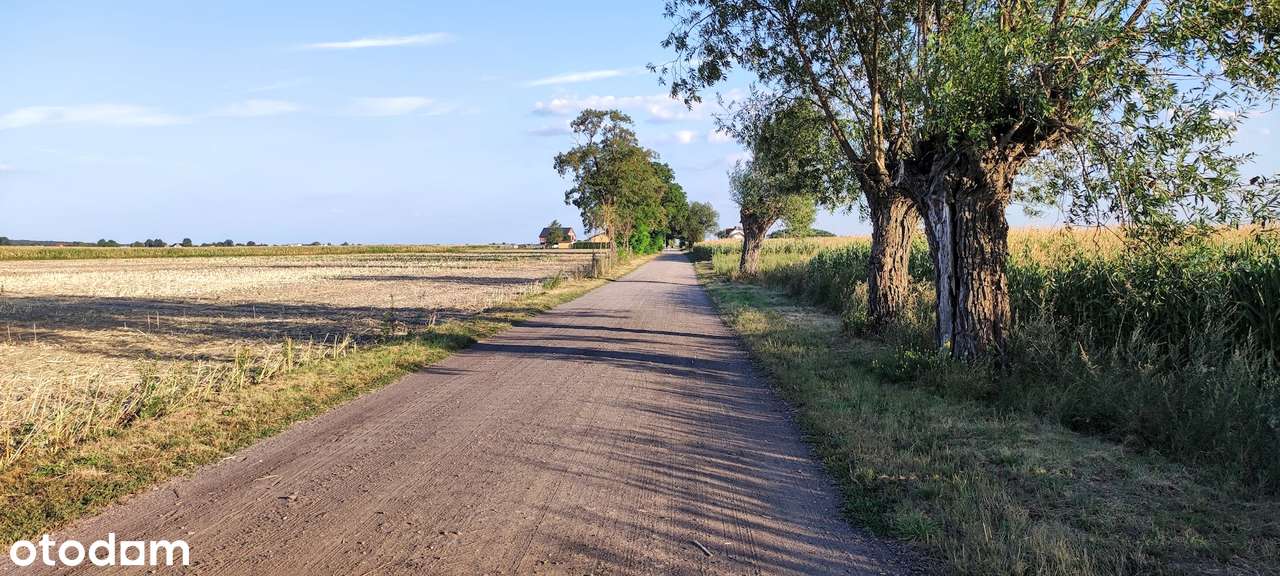 Chomęcice piękna działka CISZA I SPOKÓJ-10