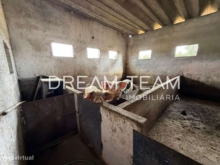 Quinta em Cabrela-10