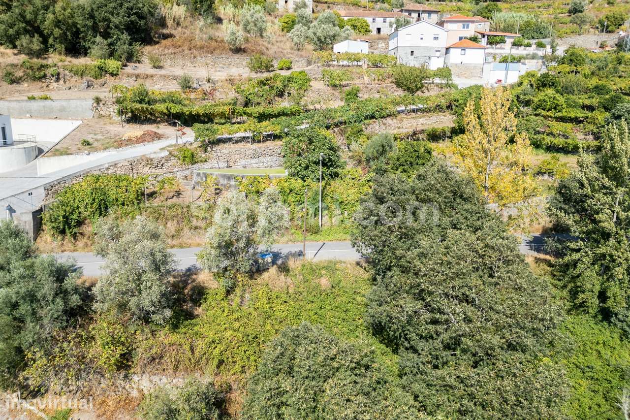 Terreno Para Construção  Venda em Santa Cruz do Douro e São Tomé de Co - Grande imagem: 4/14