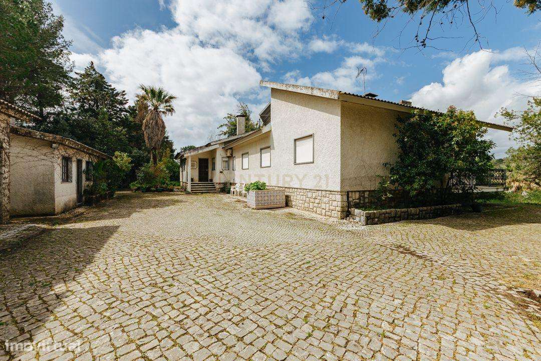 Moradia, 336 m², Alcanena e Vila Moreira - Grande imagem: 4/39