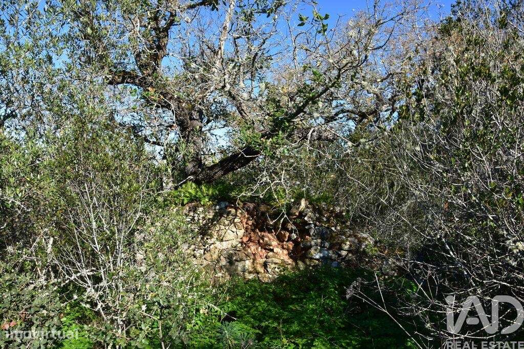 Casa / Villa em Freixianda, Ribeira do Fárrio e Formigais de 86,00 m2 - Grande imagem: 5/27