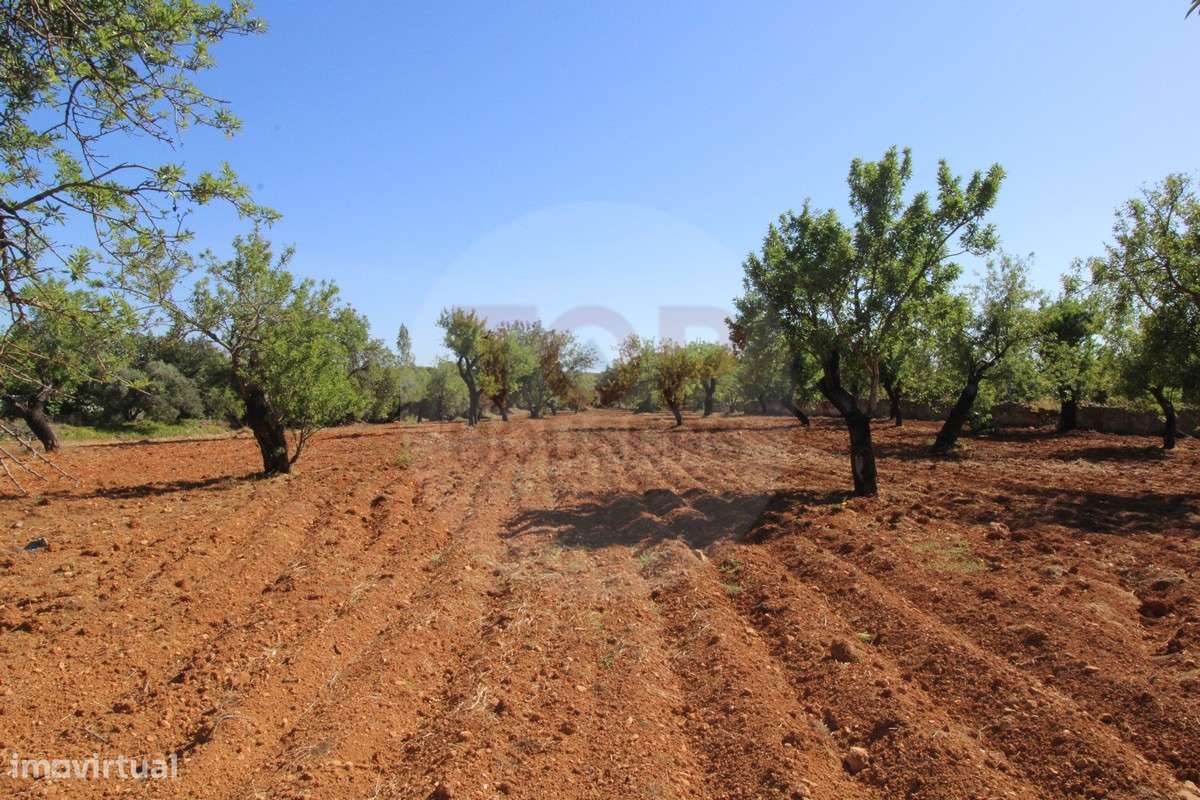 Terreno urbano destinado a construção de moradias unifamiliares - Grande imagem: 2/23