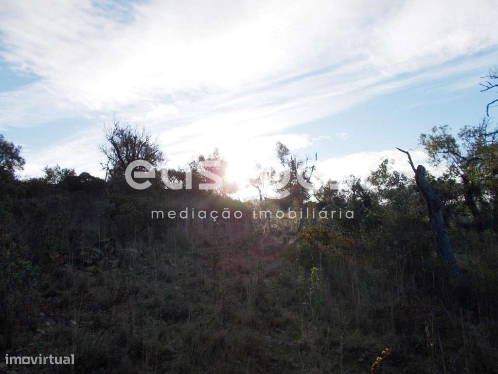 Terreno Rústico para rentabilizar - Grande imagem: 3/11