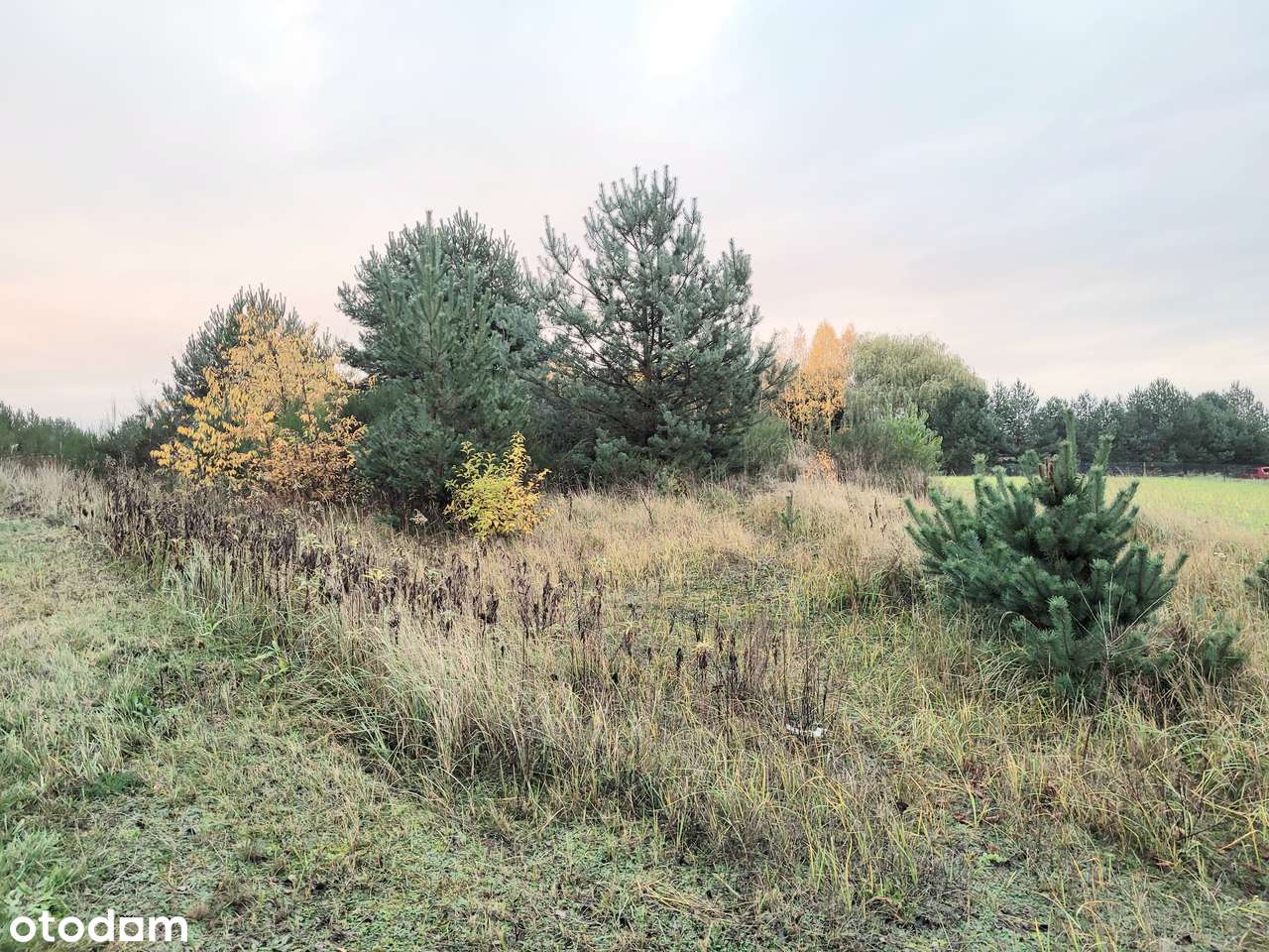 Działka z pozwoleniem na budowę 20 domów!!!-7