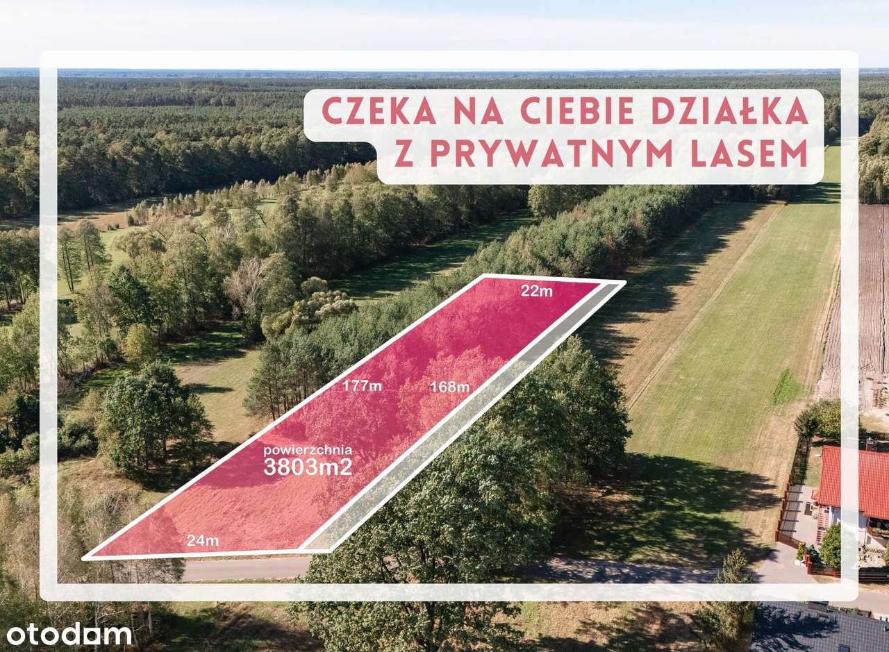Działka z WZ gotowa na budowę | spokój, zieleń i własny kawałek lasu - Pełny obrazek: 1/9