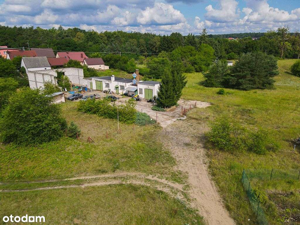 Działka WZ Hala Produkcja Obrzycko - Pełny obrazek: 5/6