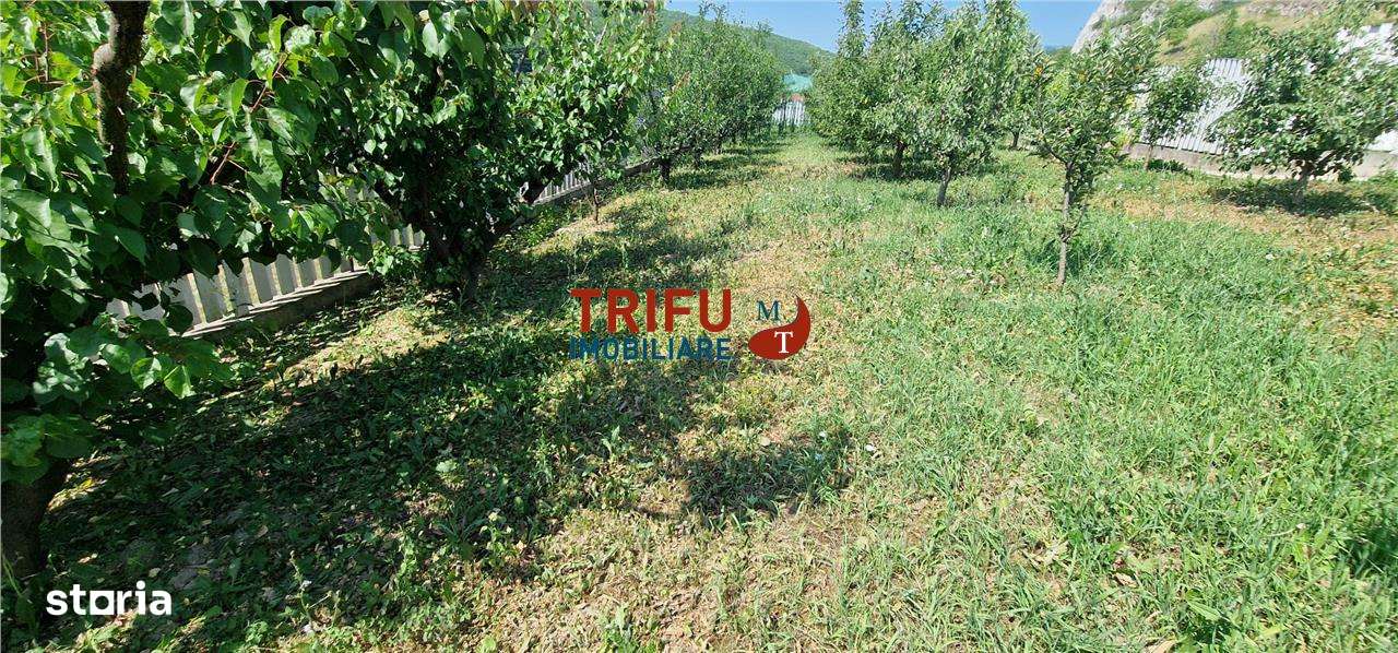 Teren de vanzare zona Ampoita - Imagine principală: 2/9