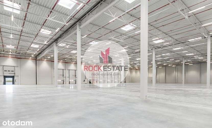 Magazyn 1694 m2 na wynajem od zaraz -0% prowizji - Pełny obrazek: 4/5