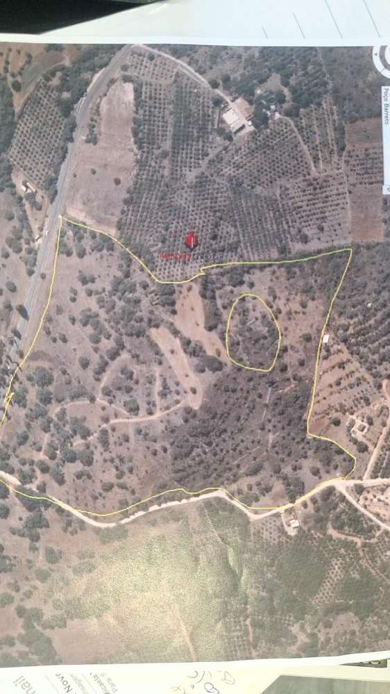 Terreno com ruina de 280m2- Silves - Algarve-12