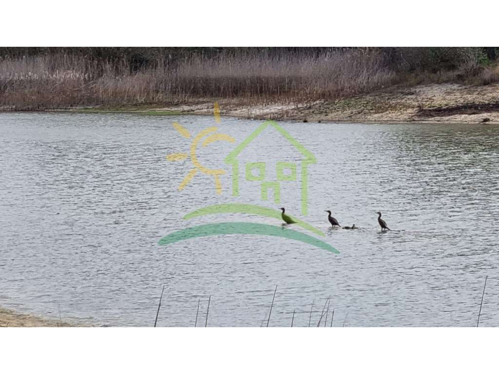 Terreno na Herdade Zambujeiro em Santo Estevão-6