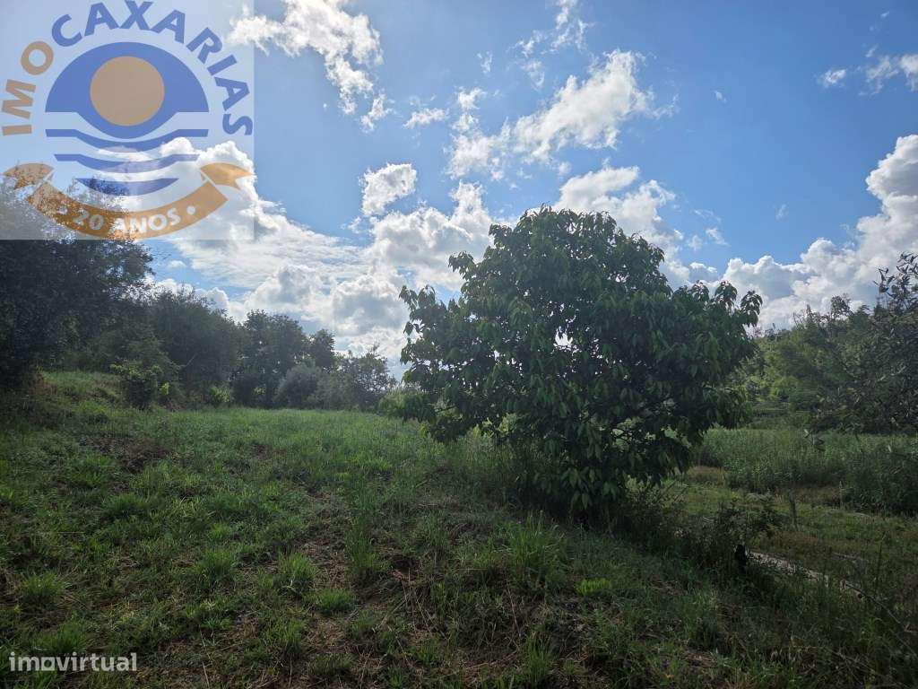 Quintinha de 1.800m² com Casa de Apoio Equipada e Água de Poço-17