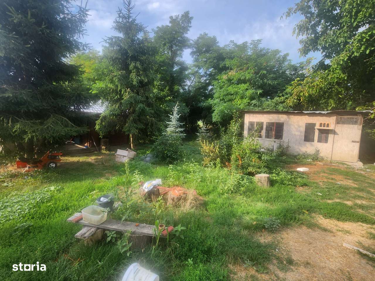 Casa cu teren de 12000 mp in Brad com Beresti Bistrita - Imagine principală: 4/9