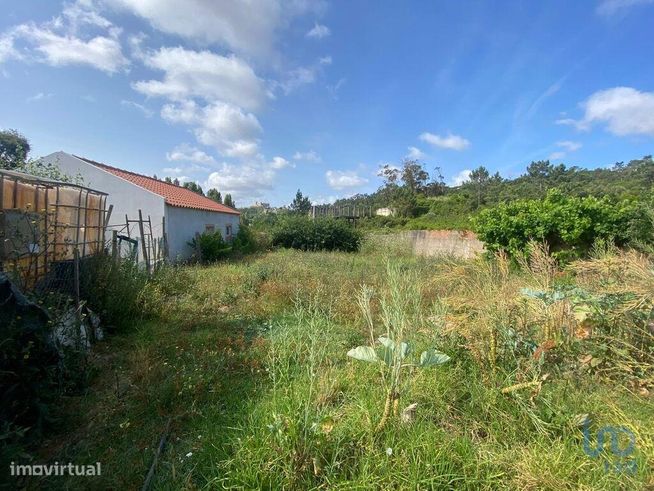 Casa / Villa em Santa Maria, São Pedro e Sobral da Lagoa de 42,00 m2-6