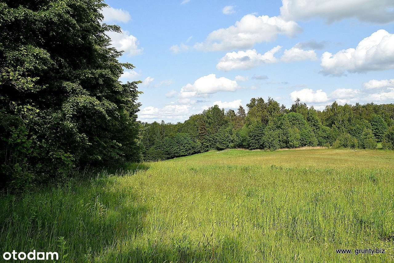 Oaza na Wzgórzach Dylewskich - Pełny obrazek: 5/10