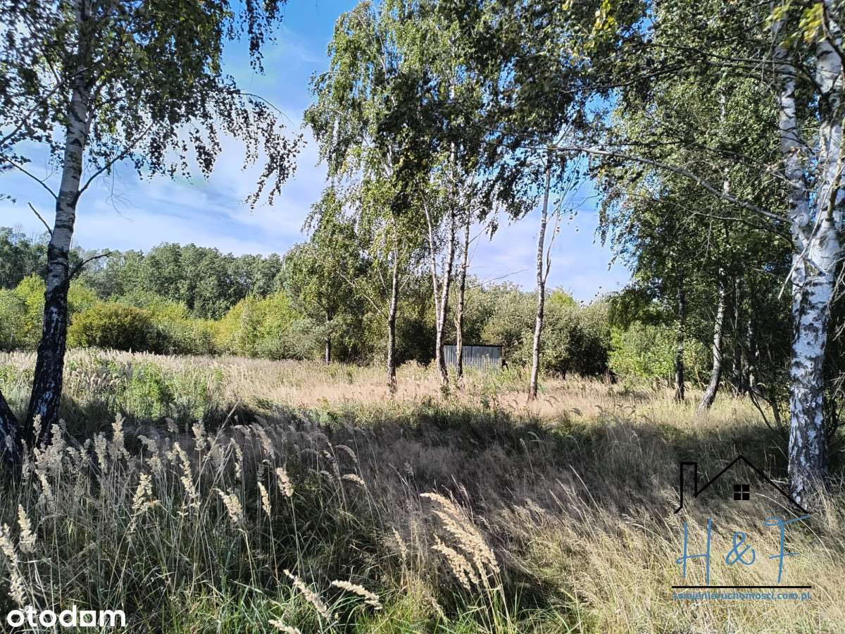 Działka blisko natury z garażem i prądem - Pełny obrazek: 4/12