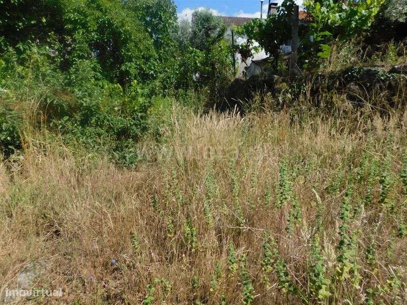 Terreno / Gouveia, Cativelos - Grande imagem: 5/13