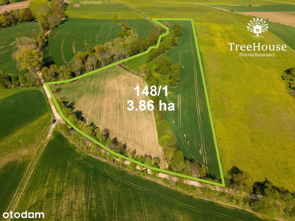 Działka rolna w Kabinach - Pełny obrazek: 1/14