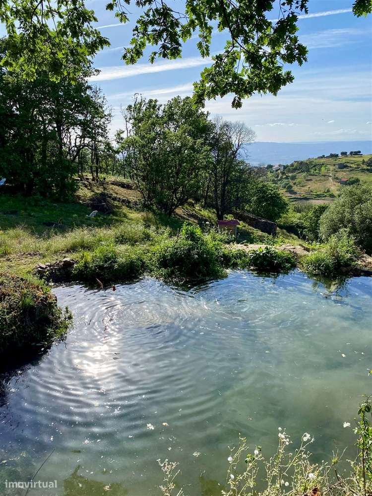 Quinta T2 Venda em Linhares,Celorico da Beira - Grande imagem: 4/23