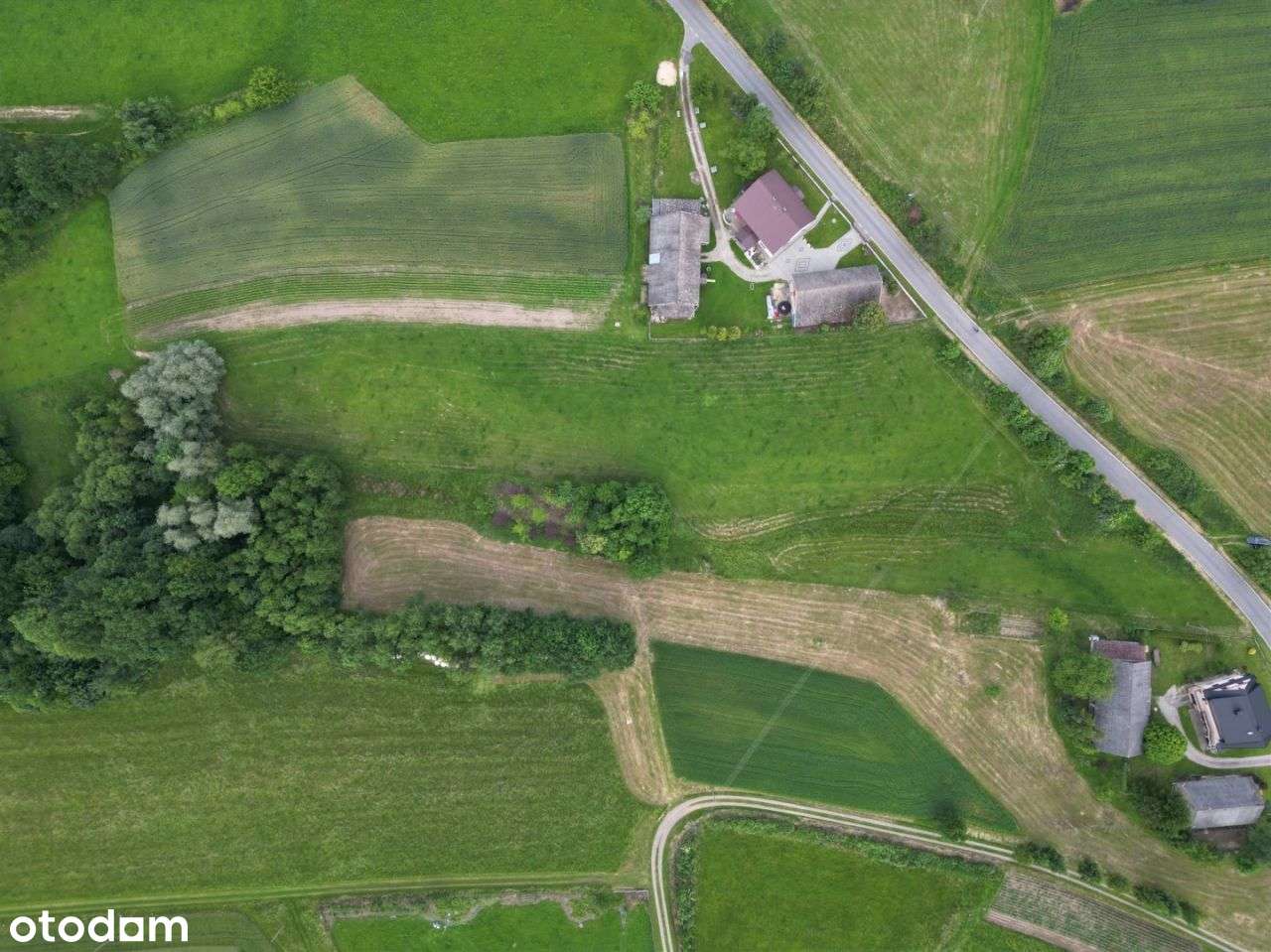 Działka mieszkaniowo-usługowa 9386 m², Wolica. - Pełny obrazek: 5/8