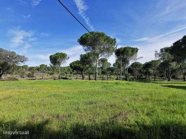 Terreno com 8.5 hectares casa para reconstruir - Grande imagem: 2/52