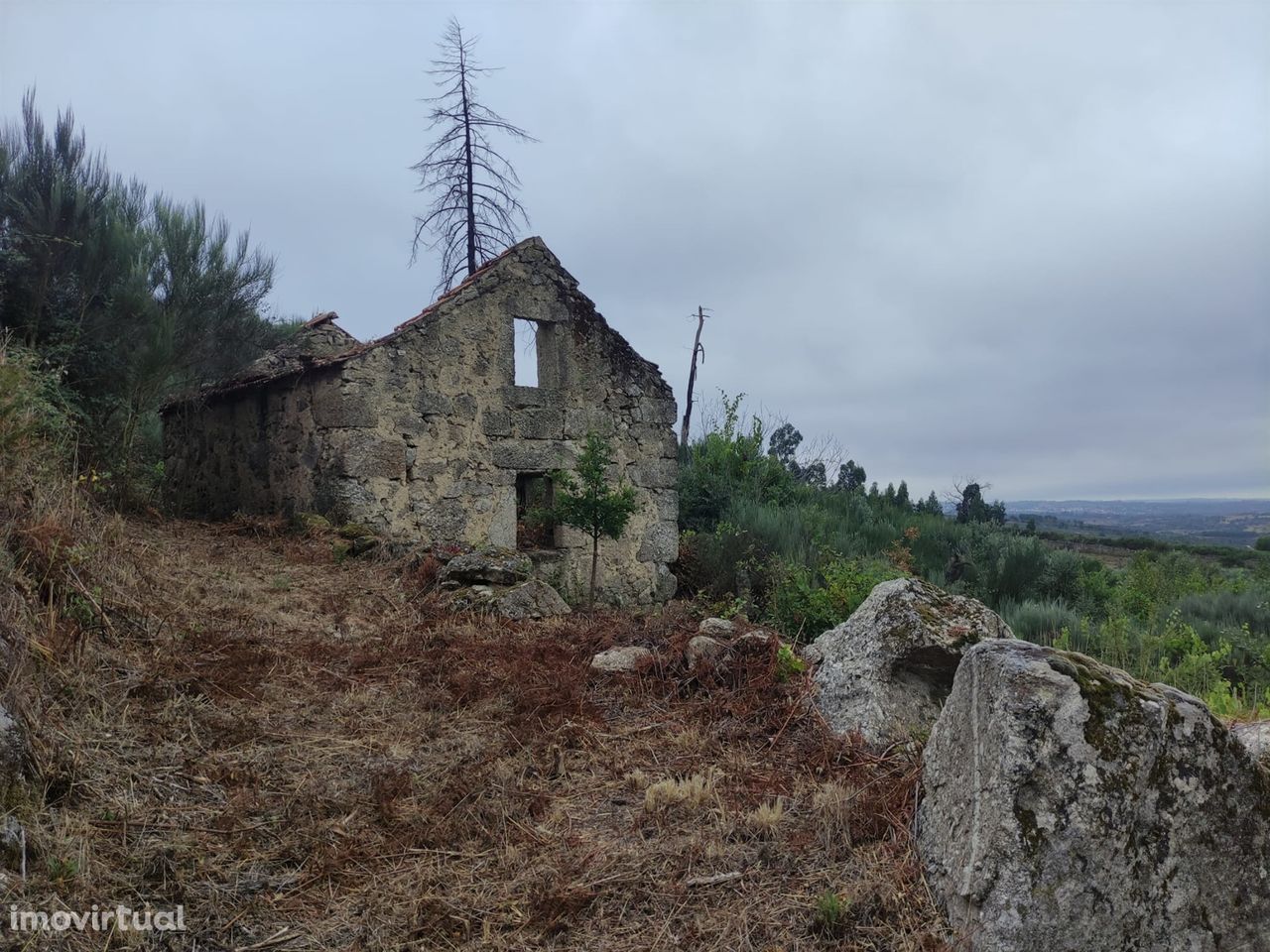 Quintinha para habitação