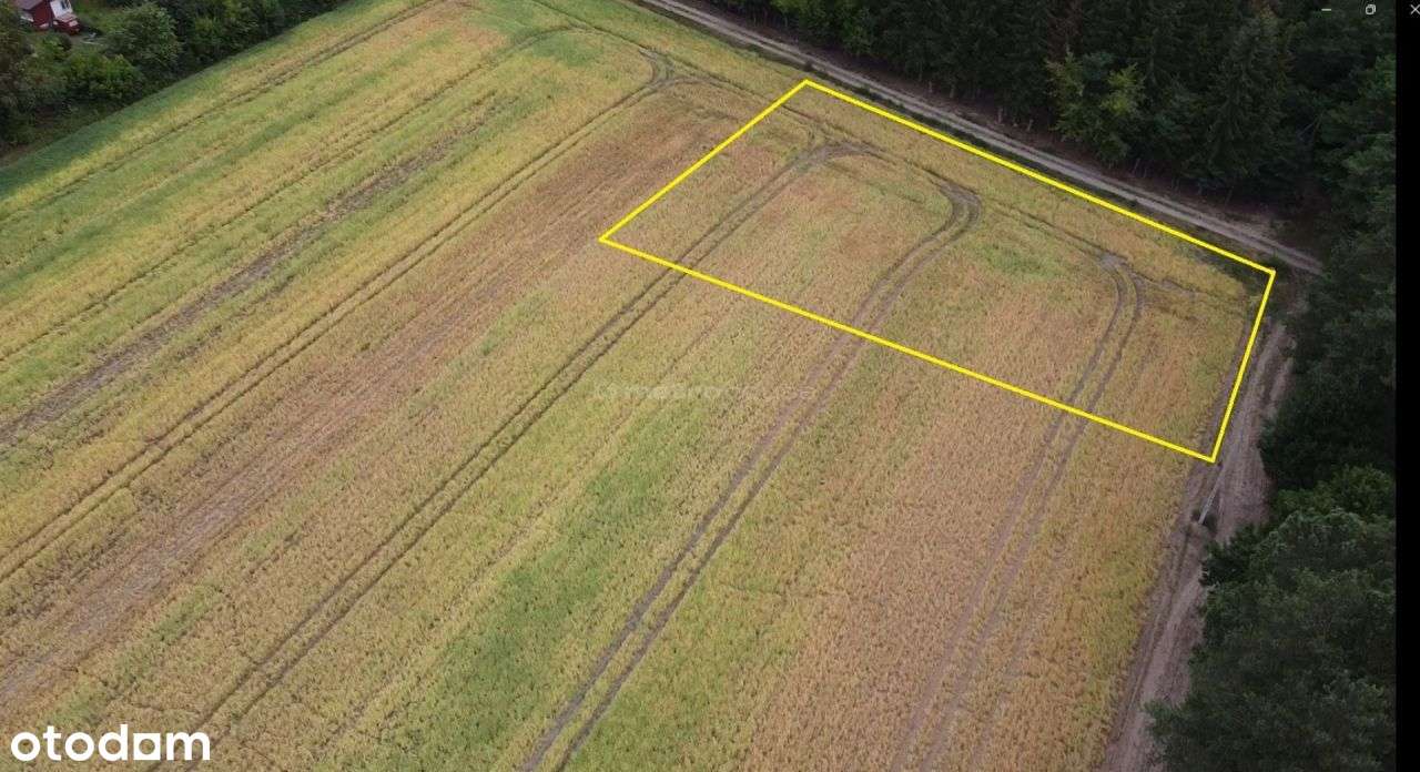 Atrakcyjna działka w doskonałej lokalizacji! - Pełny obrazek: 5/8