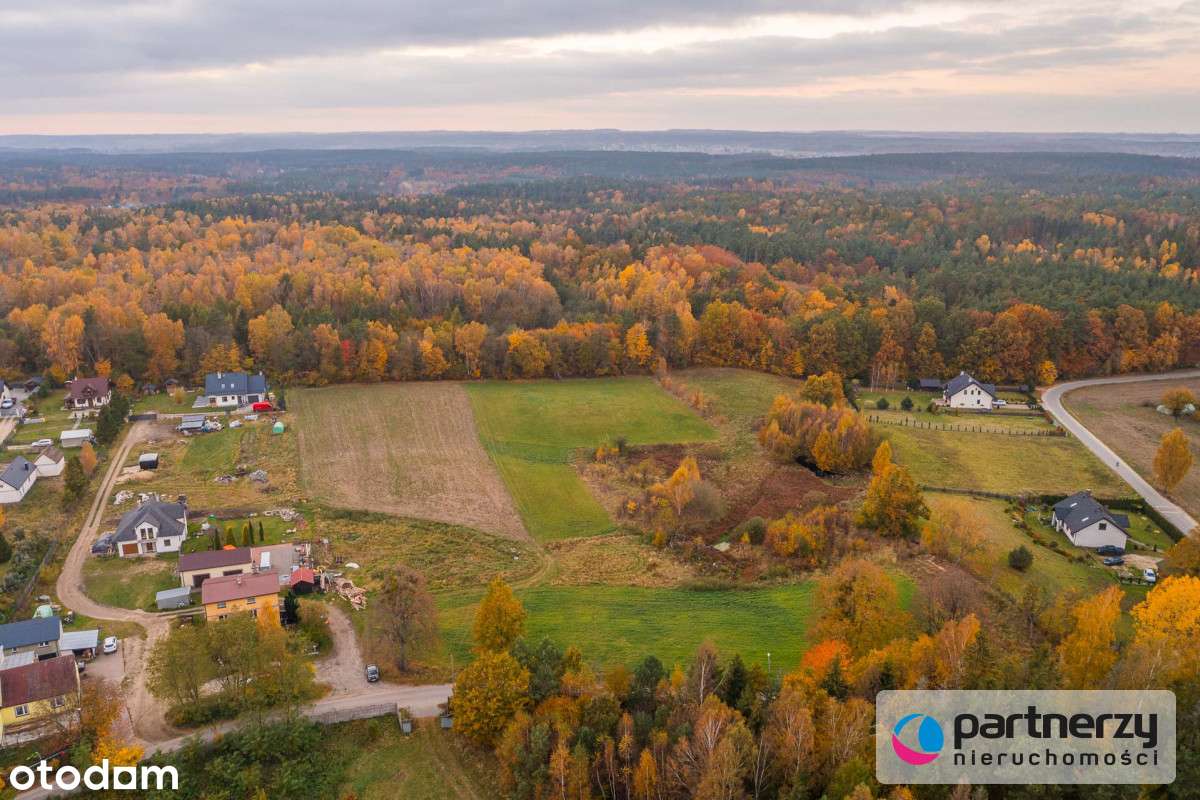 Prąd | Woda | Gaz | Asfaltowa Droga - Pełny obrazek: 3/14