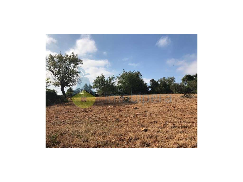 TERRENO RÚSTICO COM EXCELENTE LOCALIZAÇÃO-CANAIS-ALBUFEIRA - Grande imagem: 5/39