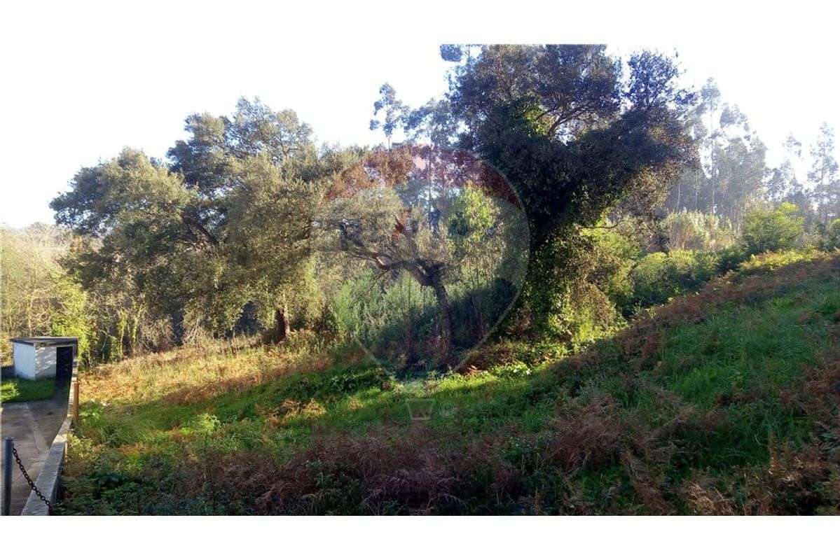 Terreno T0 para venda - Grande imagem: 4/7