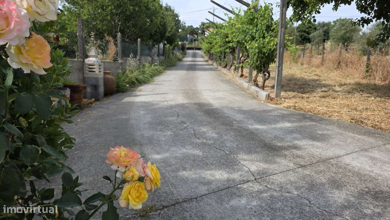 Moradia T4 nas Olalhas, a 2 kms da Albufeira do Castelo do Bode - Grande imagem: 4/60