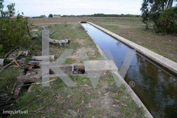 Seisseira - Grande imagem: 3/7