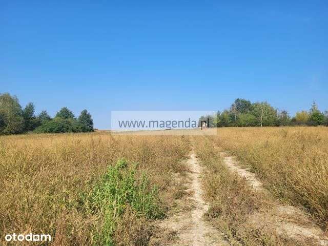 Działka, 14 399 m², Miączyn - Pełny obrazek: 5/10