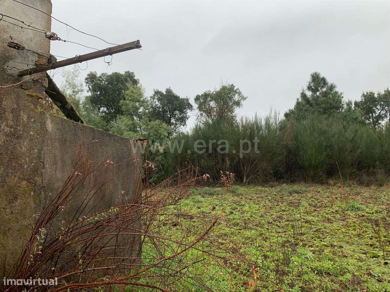 Terreno com ruina / Fundão, Fatela - Grande imagem: 4/19