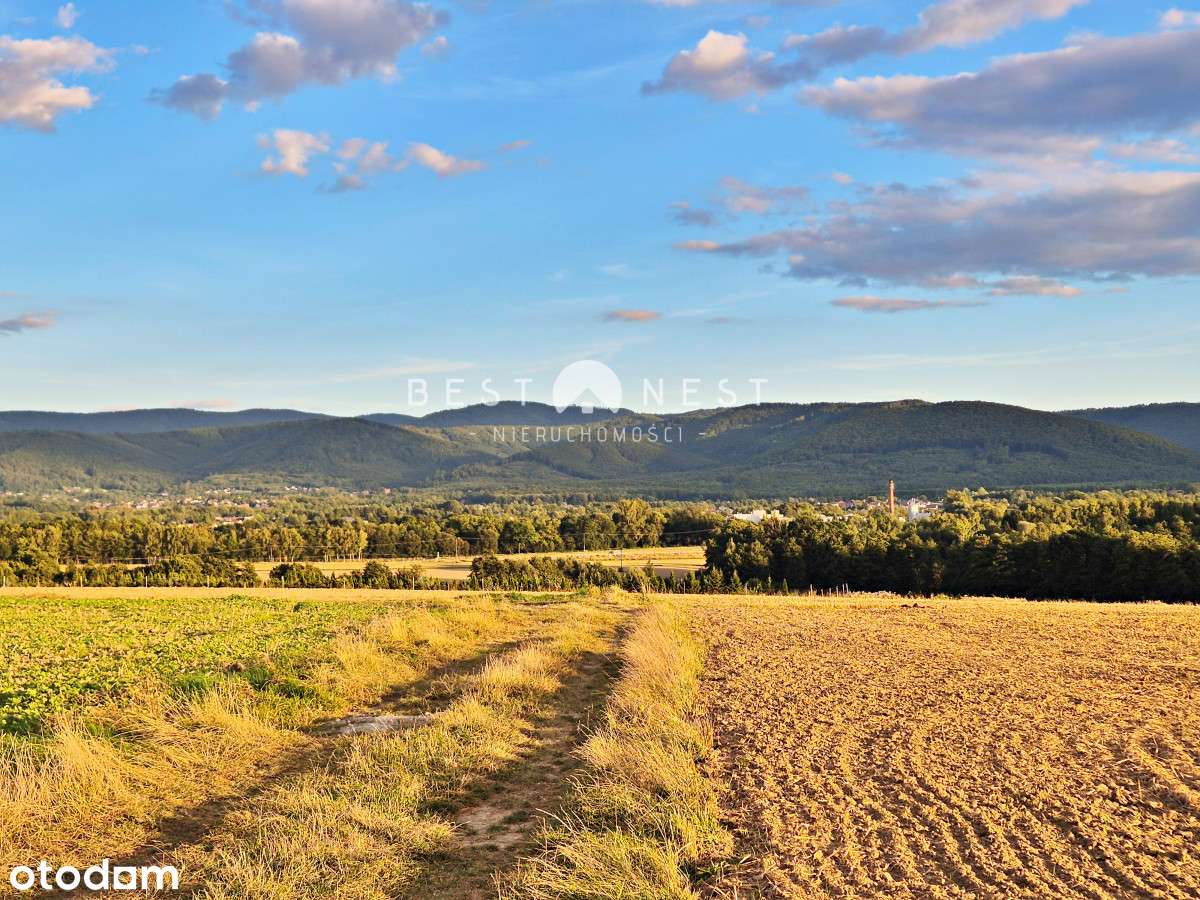 Atrakcyjne działki w Jasienicy, pod wymarzony dom - Pełny obrazek: 3/6