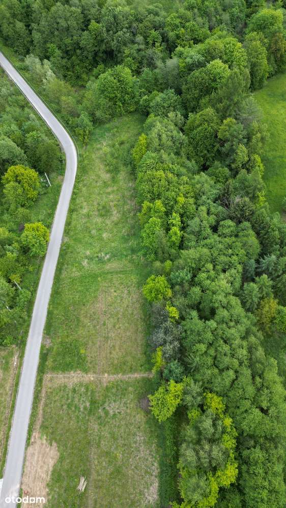 3-działki budowlane w Stasiówce - Pełny obrazek: 5/5