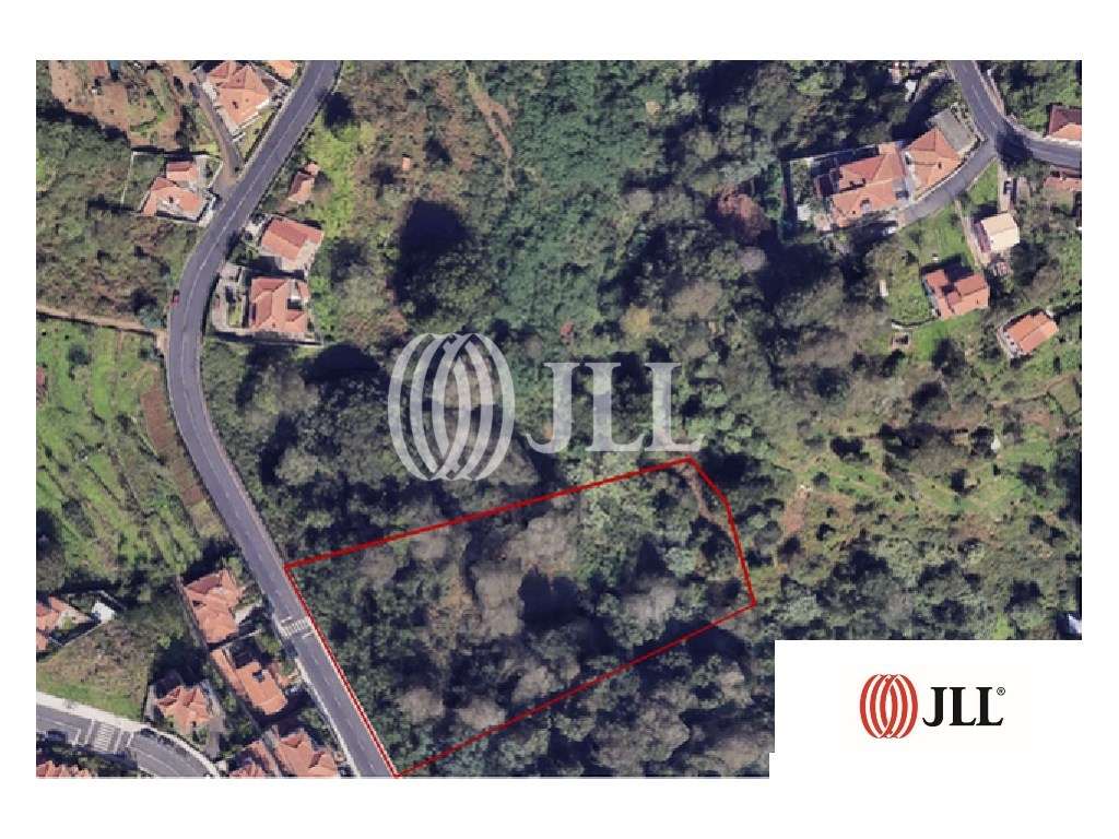 Terreno rústico na zona do Vale Paraíso, Madeira - Grande imagem: 5/5